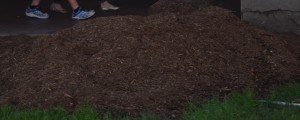 Woodchip mulch