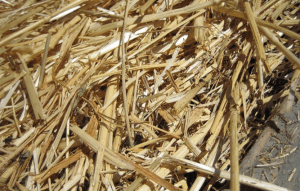 Straw Mulch