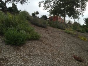 Rice Canyon Demonstration Garden